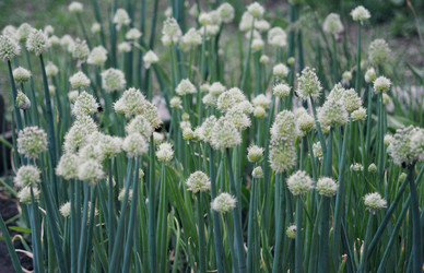 Similar image 21715429