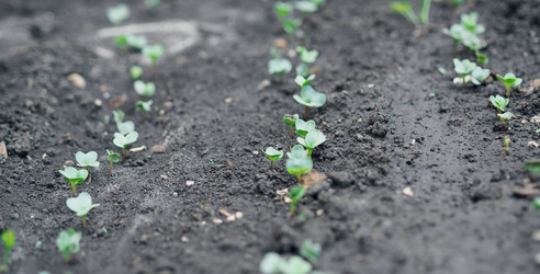 Similar image 21715430