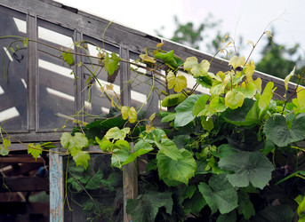 Similar image 21715432