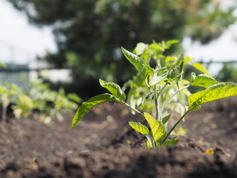 Similar image 21715435