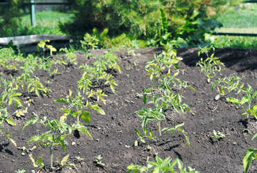 Similar image 21715437