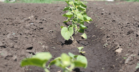 Similar image 21715439