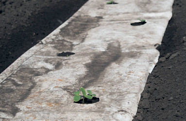 Similar image 21715440