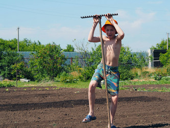 Similar image 21715441