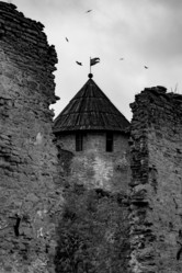 Similar image 21715230