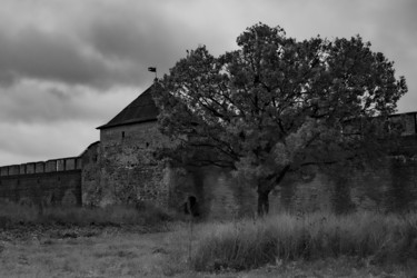 Similar image 21715237