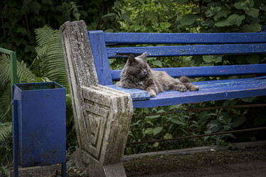 Similar image 21715888