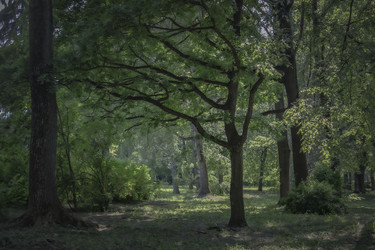 Similar image 21715890