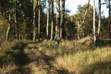 Similar image 21715891