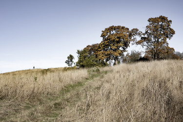 Similar image 21716140