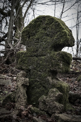 Similar image 21716142