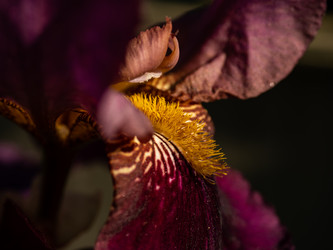 Similar image 21715240