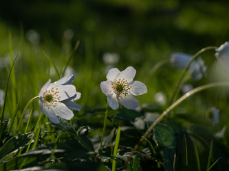 Similar image 21715242