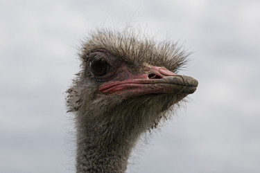 Similar image 21716143