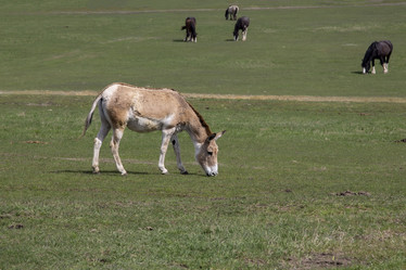 Similar image 21716144