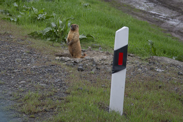 Similar image 21717443