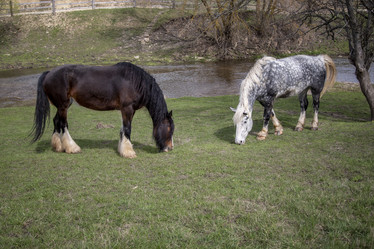 Similar image 21715899