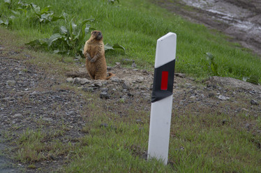 Similar image 21717463