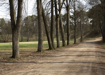 Similar image 21720005