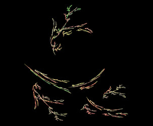 Similar image 21716091