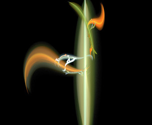 Similar image 21716092