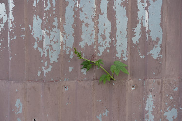 Similar image 21716316