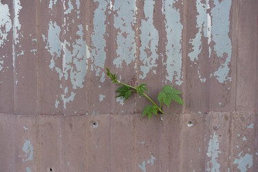 Similar image 21716317