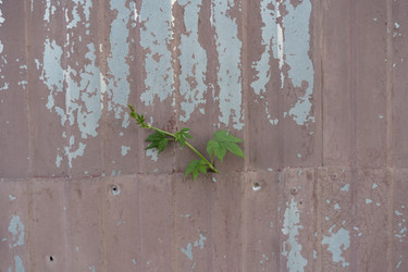 Similar image 21716319