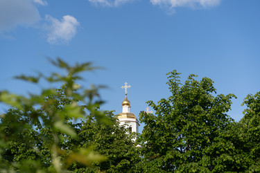 Similar image 21716322