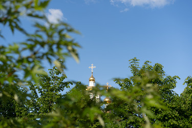 Similar image 21716325