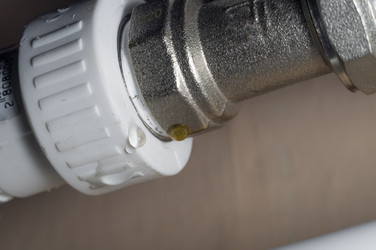 Similar image 21718056