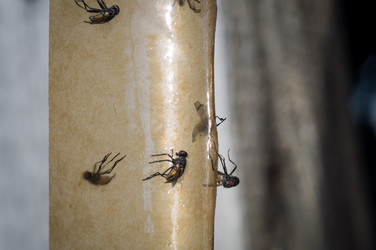 Similar image 21717493