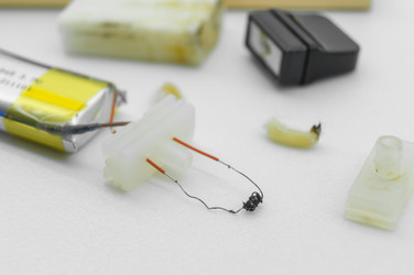 Similar image 21717494