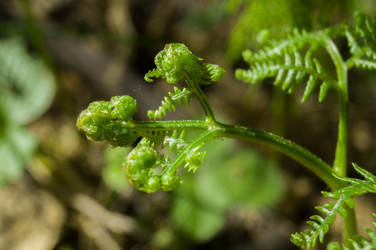 Similar image 21717535