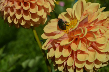 Similar image 21715856