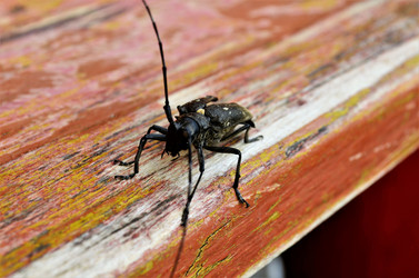 Similar image 21715857