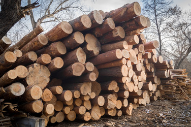 Similar image 21717538