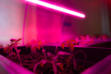 Similar image 21717539