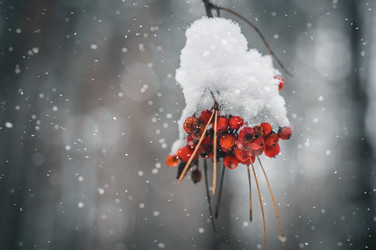 Similar image 21719219