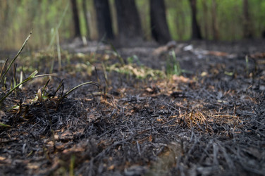 Similar image 21717551