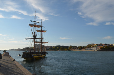 Similar image 21716146