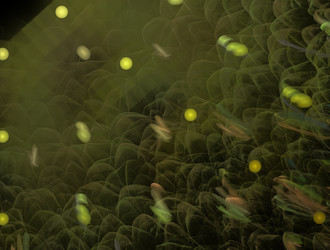 Similar image 21719008