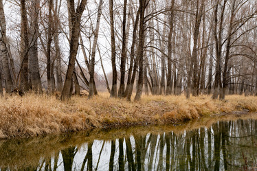 Similar image 21716352