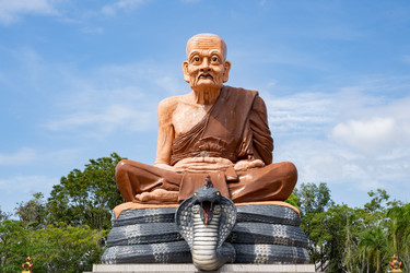 Similar image 21716354