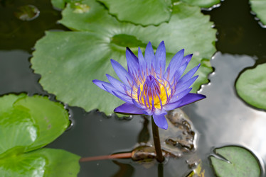 Similar image 21716355