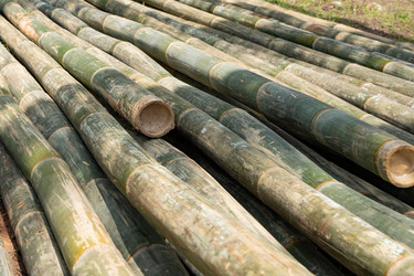 Similar image 21716357