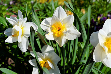 Similar image 21716359