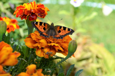 Similar image 21716360