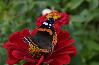 Similar image 21716362