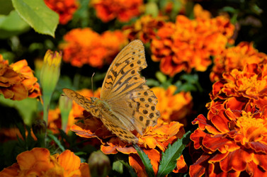 Similar image 21716363